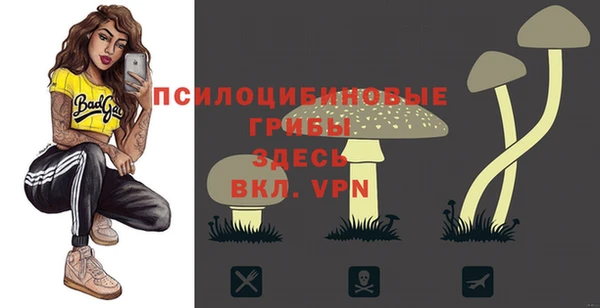тгк Балахна