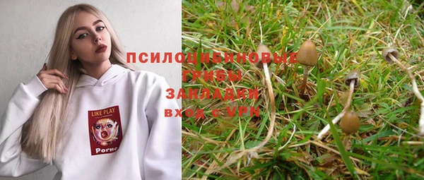 тгк Балахна