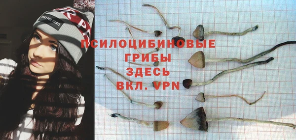 тгк Балахна
