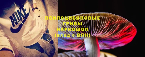 тгк Балахна