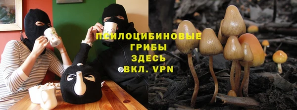 тгк Балахна