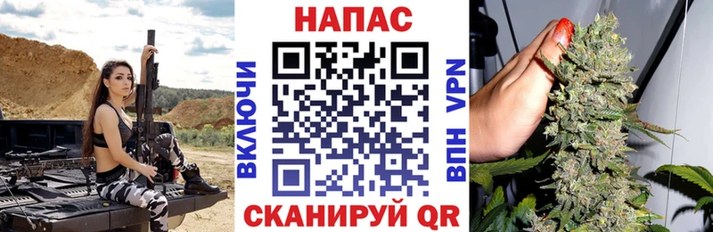 что такое   Волжск  Шишки марихуана ГИДРОПОН 